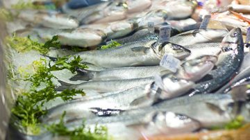 Ventajas del pescado