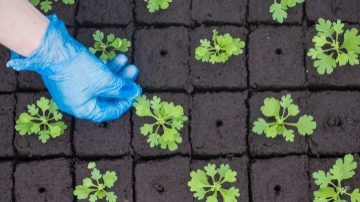 Las luces LED de propagación aumentan los porcentajes de éxito	