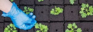Mejora el éxito con las luces LED de propagación
