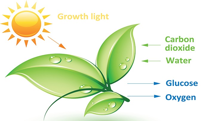 Fundamentos de la iluminación
