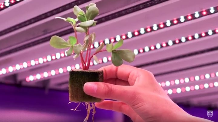 Philips GrowWise Center