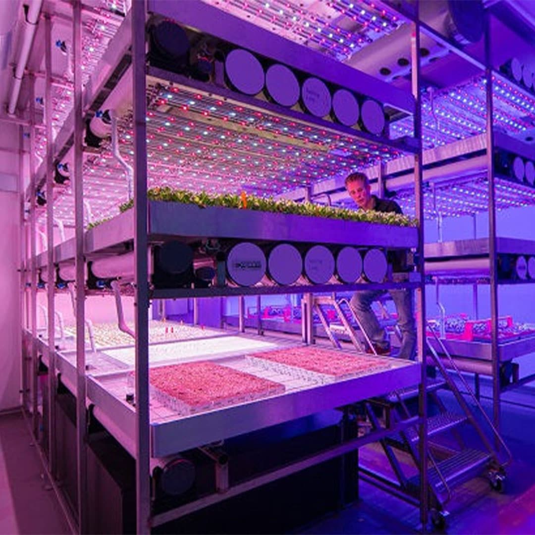Síguenos en un nuevo recorrido que combina la floricultura y la agricultura vertical
