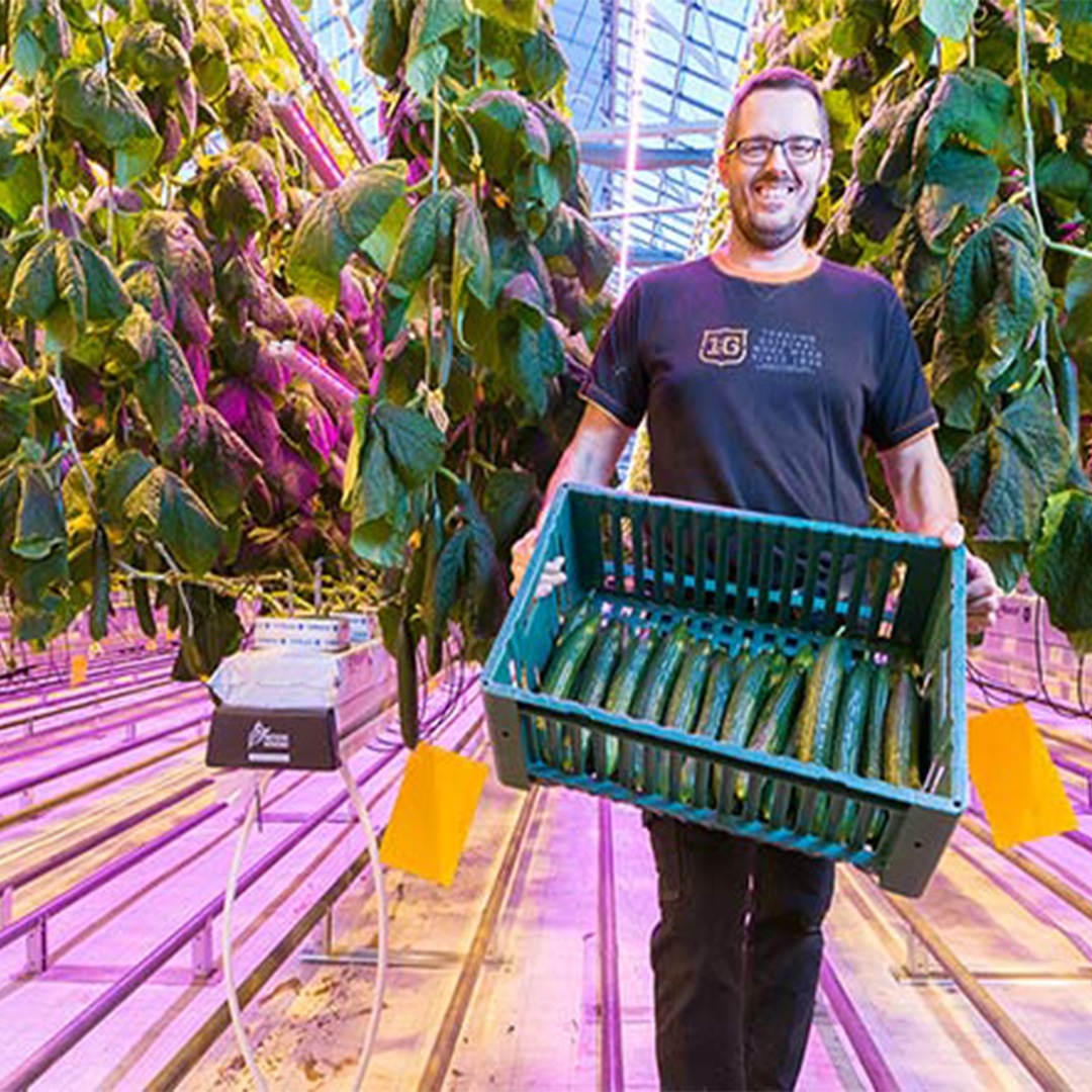 ¿Afecta la luz de forma diferente a plantas y personas?