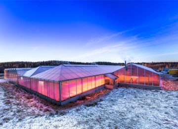 Una combinación vencedora