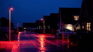 Una receta de luz específica para un valioso hábitat natural